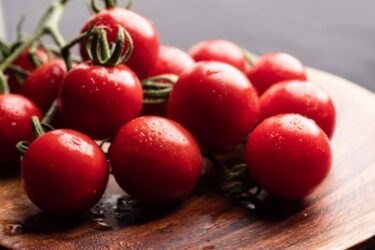 トマトを家庭菜園で育てるのに必要な物はこれだけでOK！【初心者向け情報】