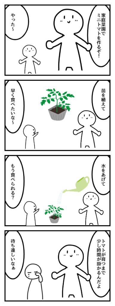 トマトはどう育つ?